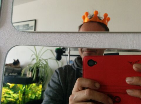 A silly picture of me with a plastic orange crown on, my face is deliberately half obscured